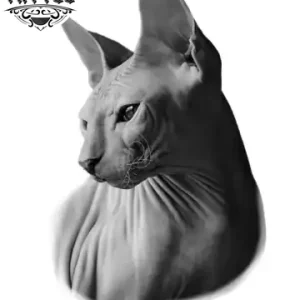 tatouage-ephemere-chat-sphynx-sans-poil tatouage-ephemere-chat-sphynx-sans-poil