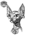 tatouage-ephemere-chat-sphynx-design-felin-realiste tatouage-ephemere-chat-sphynx-design-felin-realiste