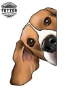 tatouage-ephemere-chien-beagle-realiste-temporaire