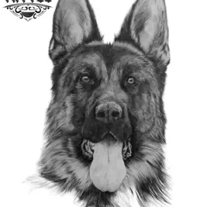 tatouage-ephemere-chien-berger-allemand-temporary-tattoo