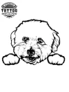 tatouage-ephemere-chien-bichon-art-corporel-temporaire tatouage-ephemere-chien-bichon-art-corporel-temporaire