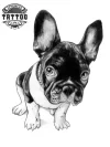 tatouage-chien-bouledogue-francais-realiste-ephemere-waterproof tatouage-chien-bouledogue-francais-realiste-ephemere-waterproof