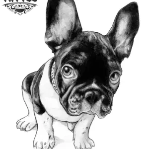 tatouage-chien-bouledogue-francais-realiste-ephemere-waterproof