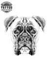 tatouage CHIEN éphémère Boxer réaliste accessoire temporaire tendance amoureux des chiens