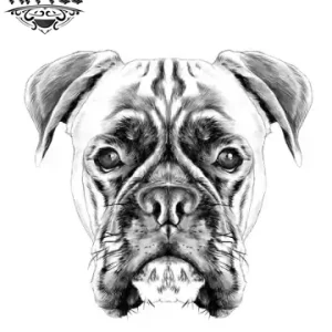 tatouage CHIEN éphémère Boxer réaliste accessoire temporaire tendance amoureux des chiens