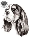 tatouage-ephemere-chien-cavalier-king-charles-art-corporel-temporaire-pour-amoureux-des-chiens tatouage-ephemere-chien-cavalier-king-charles-art-corporel-temporaire-pour-amoureux-des-chiens