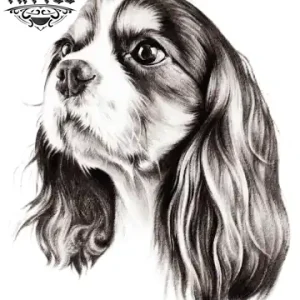 tatouage-ephemere-chien-cavalier-king-charles-art-corporel-temporaire-pour-amoureux-des-chiens
