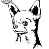 tatouage-ephemere-chien-chihuahua-peau-temporaire tatouage-ephemere-chien-chihuahua-peau-temporaire