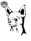tatouage-ephemere-chien-chihuahua-peau-temporaire tatouage-ephemere-chien-chihuahua-peau-temporaire