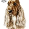 tatouage-ephemere-chien-cocker-realiste-tendance tatouage-ephemere-chien-cocker-realiste-tendance