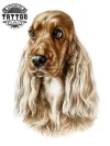 tatouage-ephemere-chien-cocker-realiste-tendance tatouage-ephemere-chien-cocker-realiste-tendance