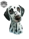 tatouage-ephemere-chien-dalmatien-peau-sensible tatouage-ephemere-chien-dalmatien-peau-sensible