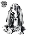 tatouage-ephemere-chien-de-chasse-temporary-tattoo-art-design-tatouage-chien