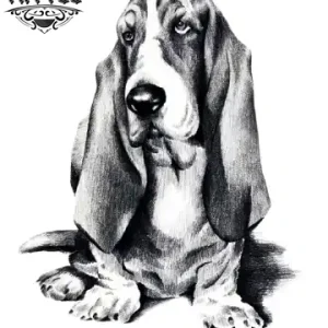 tatouage-ephemere-chien-de-chasse-temporary-tattoo-art-design-tatouage-chien tatouage-ephemere-chien-de-chasse-temporary-tattoo-art-design-tatouage-chien