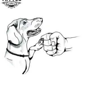 tatouage-ephemere-chien-design-canin-homme-temporary-tattoo tatouage-ephemere-chien-design-canin-homme-temporary-tattoo