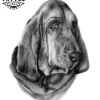 tatouage-ephemere-chien-hostel-unique-temporaire
