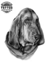 tatouage-ephemere-chien-hostel-unique-temporaire