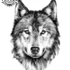 tatouage-ephemere-chien-husky-temporary-tattoo-image-alt tatouage-ephemere-chien-husky-temporary-tattoo-image-alt