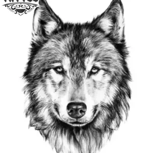 tatouage-ephemere-chien-husky-temporary-tattoo-image-alt tatouage-ephemere-chien-husky-temporary-tattoo-image-alt