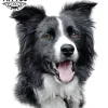tatouage-ephemere-chien-design-canin-unique-image-alt
