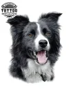 tatouage-ephemere-chien-design-canin-unique-image-alt