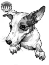 tatouage-ephemere-chien-jack-russel-amoureux-des-chiens tatouage-ephemere-chien-jack-russel-amoureux-des-chiens
