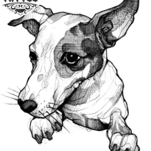 tatouage-ephemere-chien-jack-russel-amoureux-des-chiens tatouage-ephemere-chien-jack-russel-amoureux-des-chiens