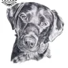 tatouage chien labrador ephemere realiste peau tatouage chien labrador ephemere realiste peau