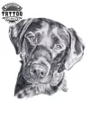 tatouage chien labrador ephemere realiste peau tatouage chien labrador ephemere realiste peau