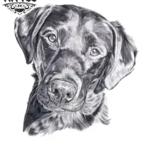 tatouage chien labrador ephemere realiste peau tatouage chien labrador ephemere realiste peau