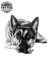 tatouage-ephemere-chien-malinois-realiste-amateurs-tattoos-temporaires tatouage-ephemere-chien-malinois-realiste-amateurs-tattoos-temporaires