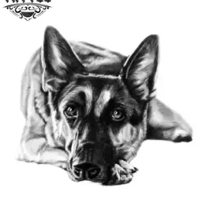 tatouage-ephemere-chien-malinois-realiste-amateurs-tattoos-temporaires tatouage-ephemere-chien-malinois-realiste-amateurs-tattoos-temporaires