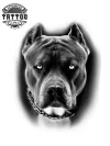 tatouage-ephemere-chien-noir-temporaire-peau