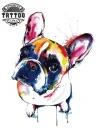 Tatouage ephémère lumineux chien pour passionnés d'animaux Tatouage ephémère lumineux chien pour passionnés d'animaux