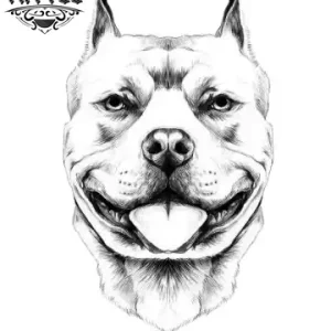 tatouage-ephemere-chien-pitbull-temporary-tattoo-design tatouage-ephemere-chien-pitbull-temporary-tattoo-design