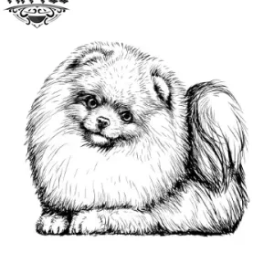 tatouage-ephemere-chien-spitz-adorable-facile-a-appliquer tatouage-ephemere-chien-spitz-adorable-facile-a-appliquer