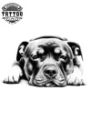 tatouage-ephemere-chien-staff-amateurs-tatouage-chien tatouage-ephemere-chien-staff-amateurs-tatouage-chien