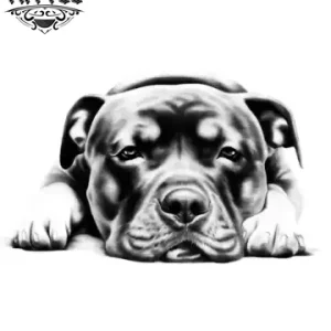 tatouage-ephemere-chien-staff-amateurs-tatouage-chien tatouage-ephemere-chien-staff-amateurs-tatouage-chien