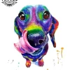 tatouage-ephemere-chien-teckel-design-unique tatouage-ephemere-chien-teckel-design-unique