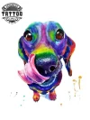 tatouage-ephemere-chien-teckel-design-unique tatouage-ephemere-chien-teckel-design-unique