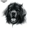 tatouage-ephemere-chien-terre-neuve-temporary-tattoo-art tatouage-ephemere-chien-terre-neuve-temporary-tattoo-art