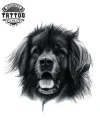 tatouage-ephemere-chien-terre-neuve-temporary-tattoo-art tatouage-ephemere-chien-terre-neuve-temporary-tattoo-art