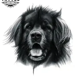 tatouage-ephemere-chien-terre-neuve-temporary-tattoo-art tatouage-ephemere-chien-terre-neuve-temporary-tattoo-art