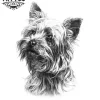 tatouage-ephemere-chien-westie-amoureux-des-chiens tatouage-ephemere-chien-westie-amoureux-des-chiens