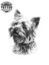 tatouage-ephemere-chien-westie-amoureux-des-chiens tatouage-ephemere-chien-westie-amoureux-des-chiens