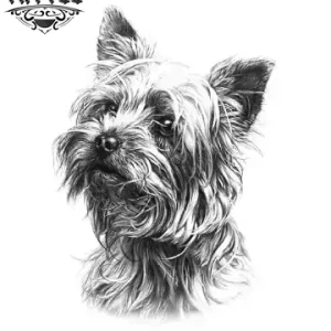 tatouage-ephemere-chien-westie-amoureux-des-chiens