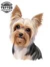 tatouage-ephemere-chien-yorkshire-temporaire-amoureux-des-chiens tatouage-ephemere-chien-yorkshire-temporaire-amoureux-des-chiens