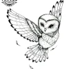 tatouage-chouette-artistique-dessin-realiste-ephemere tatouage-chouette-artistique-dessin-realiste-ephemere