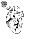 tatouage ephemere coeur organe realiste tatouage ephemere coeur organe realiste
