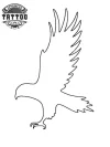 tatouage-ephemere-contour-aigle-design-realiste